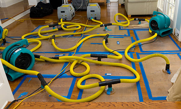 Professional Basement Flood Cleanup technician working in Saegertown, PA